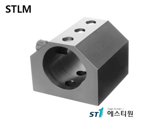 [STLM] Standard Laser Mount